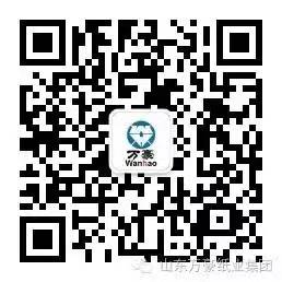 万搏在线官网_万搏(中国)
